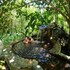 termales el escondite
