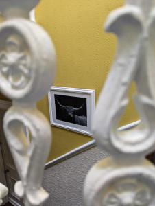 the coos guest house