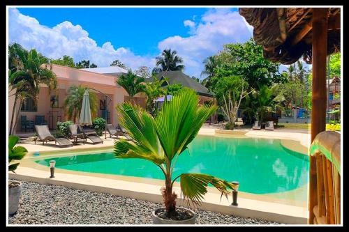 imagine bohol