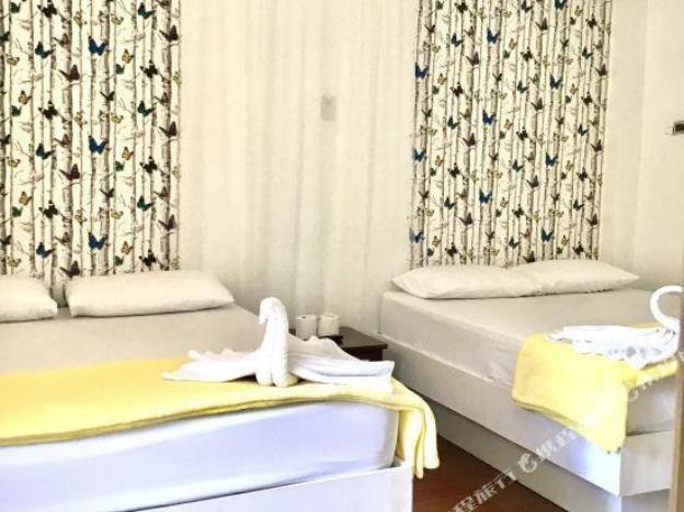 rob and freds resort