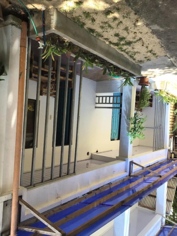 rob and freds resort