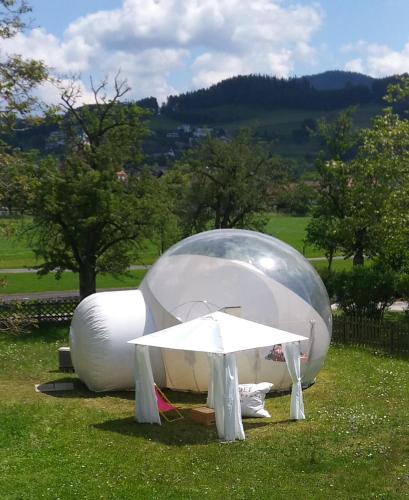 bubble tent hotel