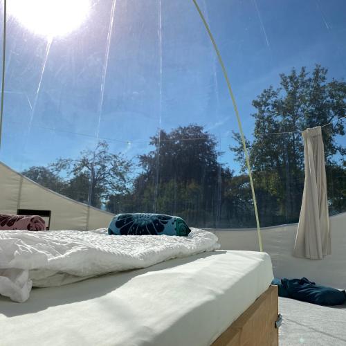 bubble tent hotel