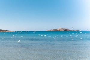 paros island