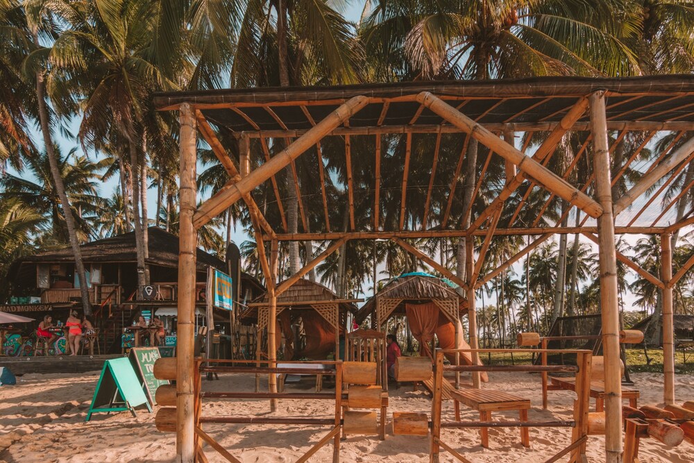 mad monkey hostel nacpan beach adults only