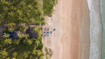 mad monkey hostel nacpan beach adults only