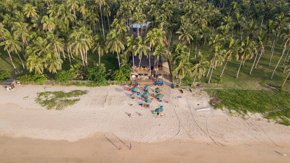 mad monkey hostel nacpan beach adults only