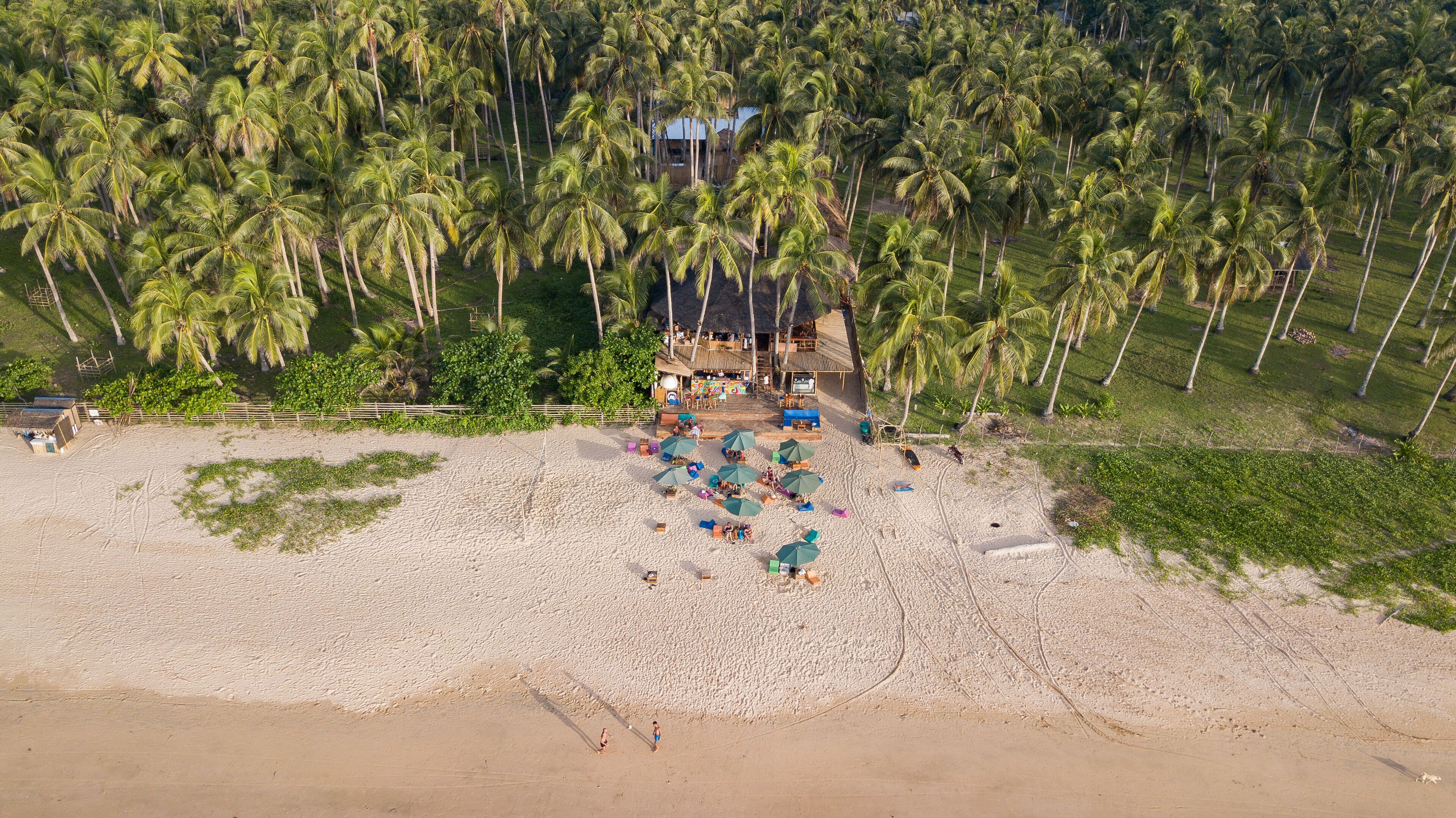 mad monkey hostel nacpan beach adults only