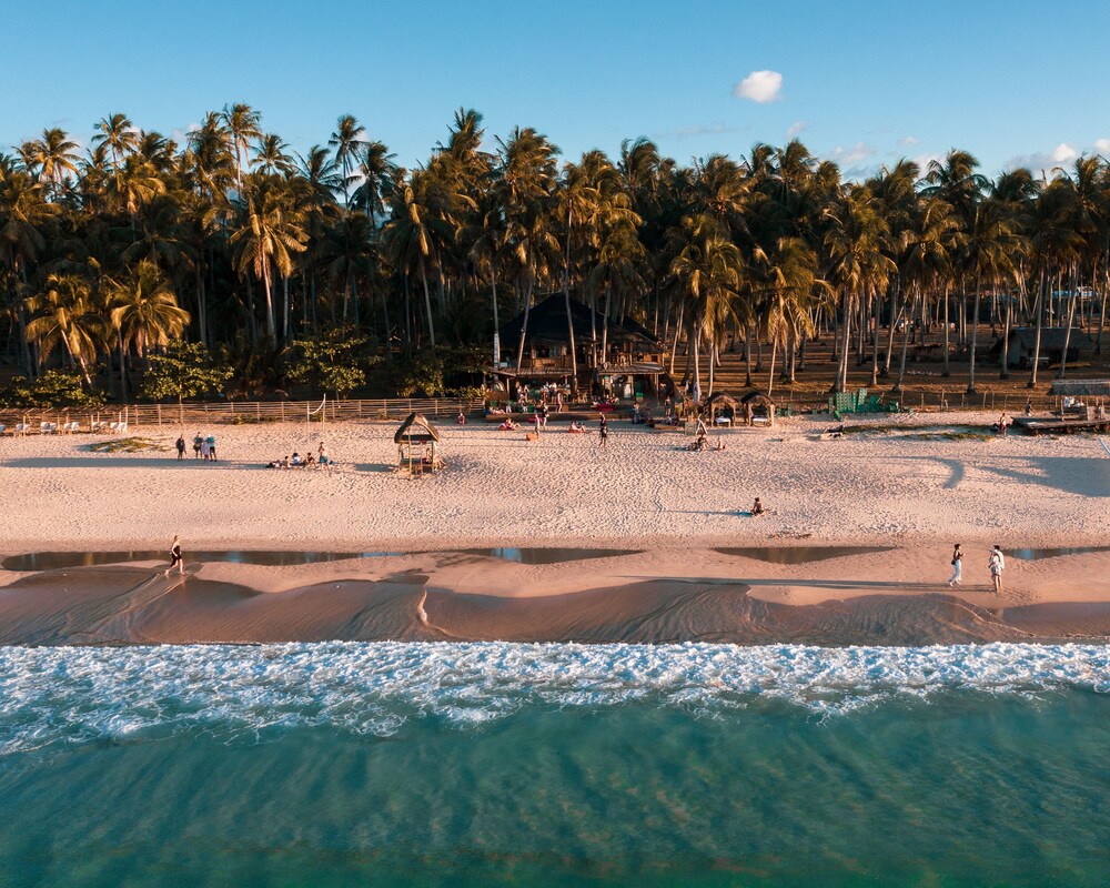 mad monkey hostel nacpan beach adults only