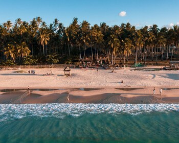 mad monkey hostel nacpan beach adults only