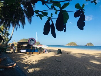 mad monkey hostel nacpan beach adults only