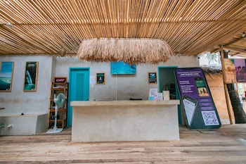 mad monkey hostel nacpan beach adults only