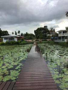 Saree Lagoon Villa Koh Samui