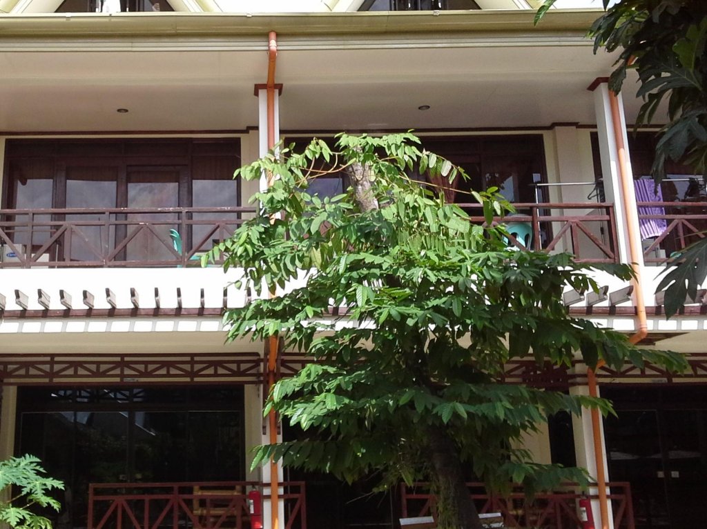 st vincent cottages dee and timmy side