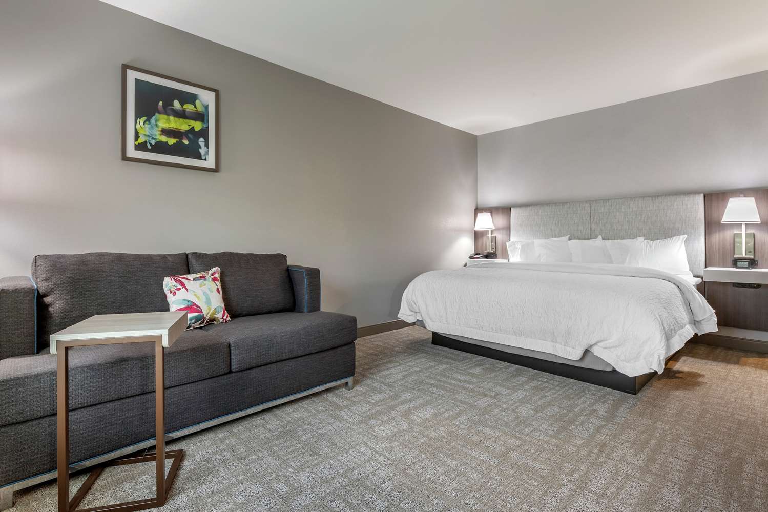 hampton inn camden