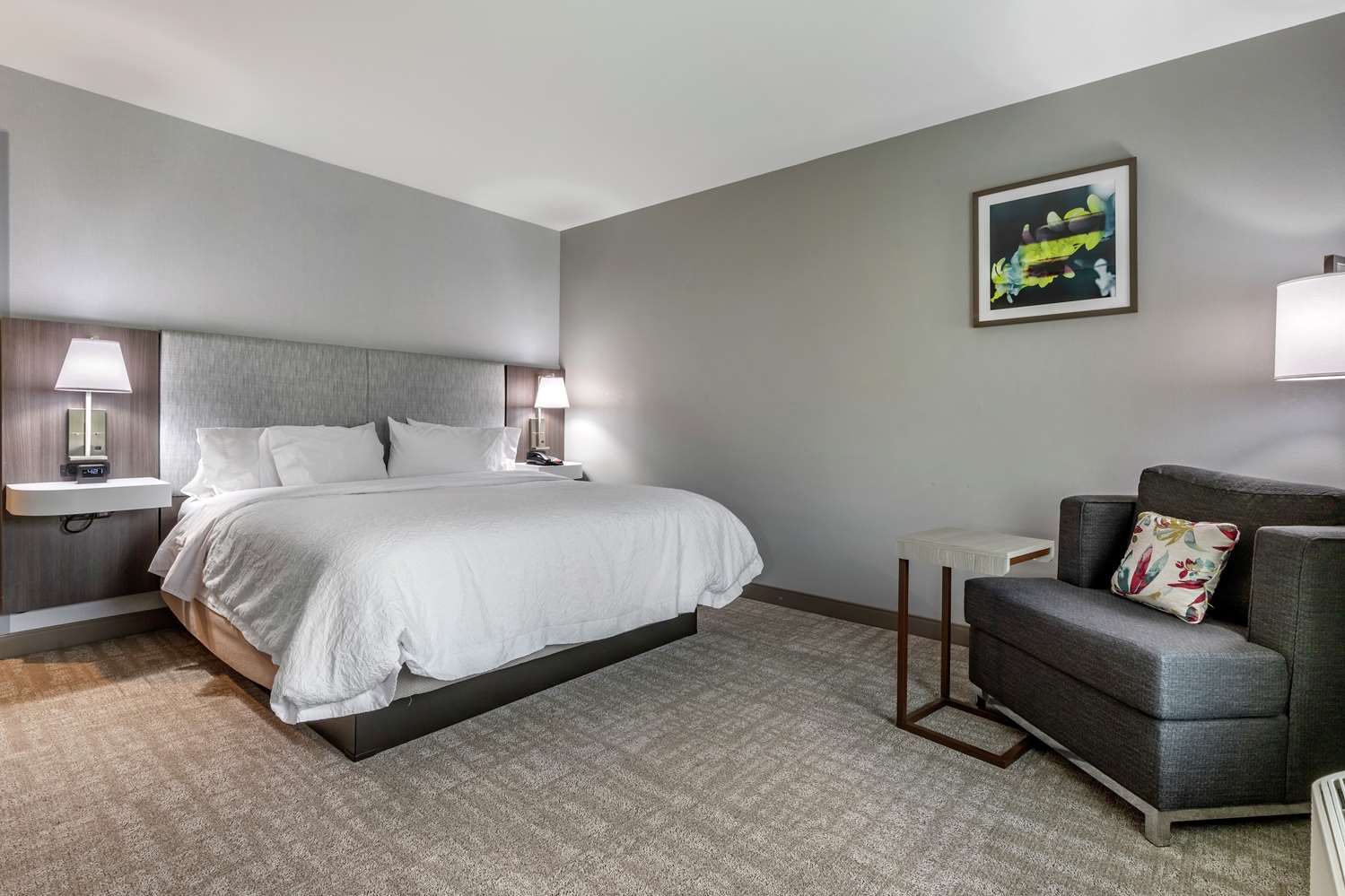 hampton inn camden