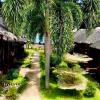 aivymaes divers resort