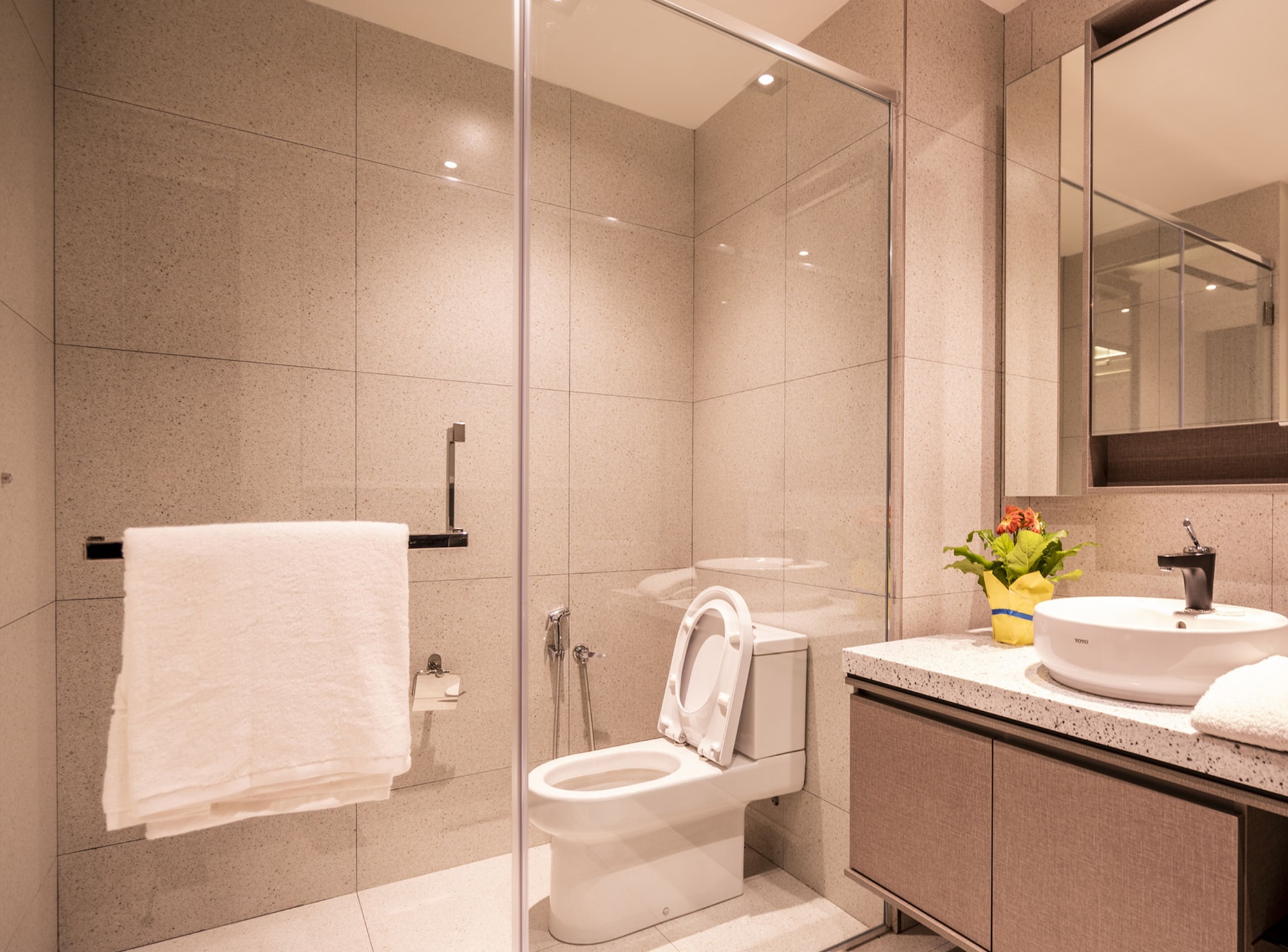 expressionz professional suites by wodages