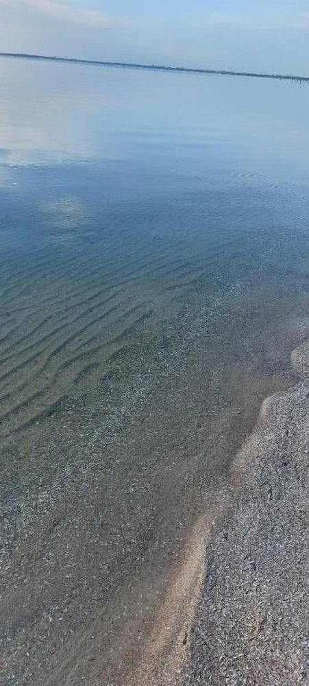 pousada algodao da praia