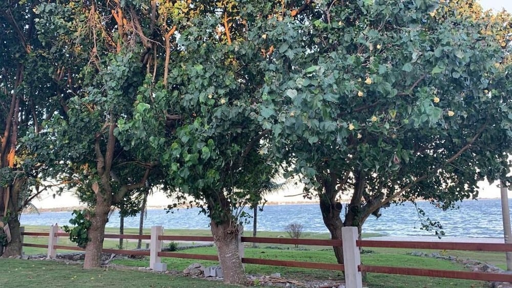 pousada algodao da praia