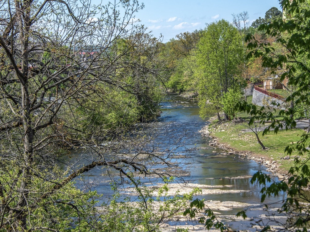 pigeon forge