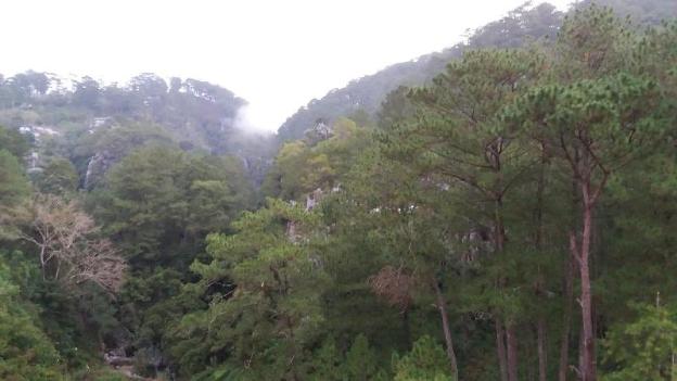 kanip aw pines view lodge