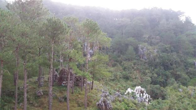 kanip aw pines view lodge