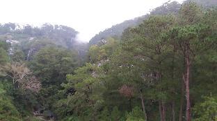 kanip aw pines view lodge