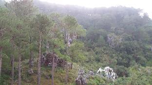 kanip aw pines view lodge