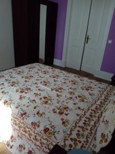 cenario catita hostel