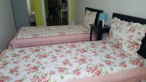 cenario catita hostel