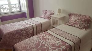 cenario catita hostel