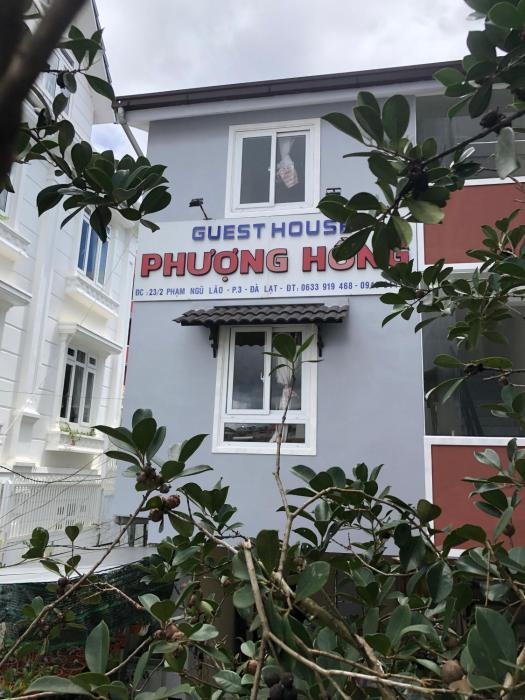 phuong hong guesthouse