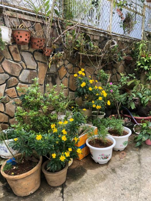 phuong hong guesthouse