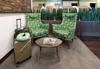 sleep n fly sleep lounge