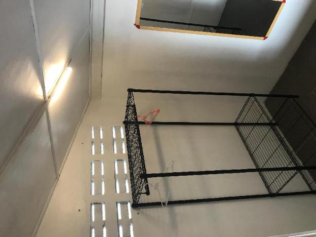 duckling resort and bar