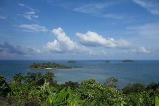 duckling resort and bar