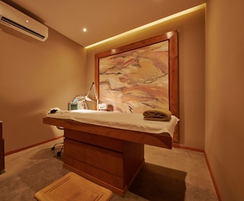 ibis torreon