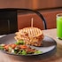 ibis torreon