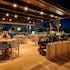 ibis torreon