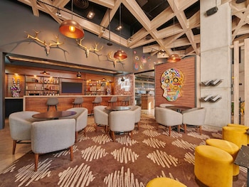ibis torreon