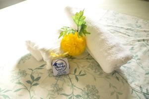 hostel pousada aguas marinhas