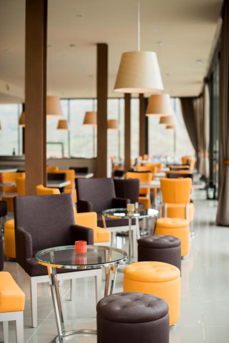 vila gale douro vineyards