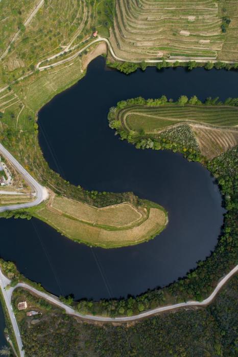 vila gale douro vineyards