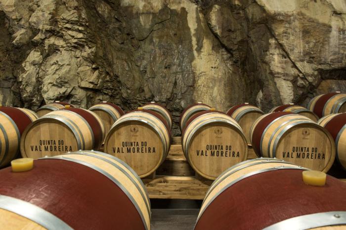 vila gale douro vineyards