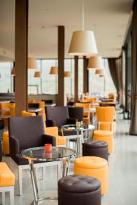 vila gale douro vineyards