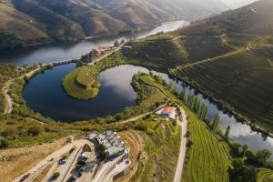 vila gale douro vineyards