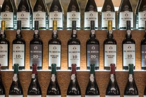 vila gale douro vineyards