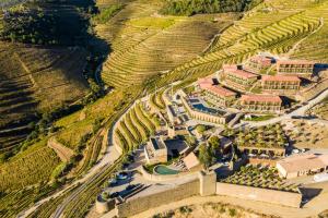 vila gale douro vineyards
