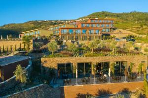 vila gale douro vineyards